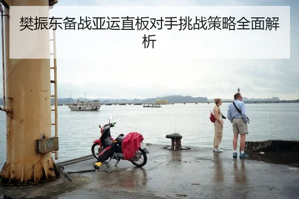 樊振东备战亚运直板对手挑战策略全面解析
